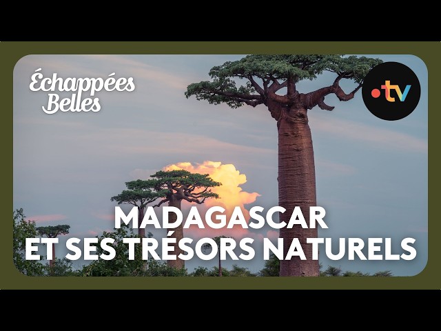 Echappées belles