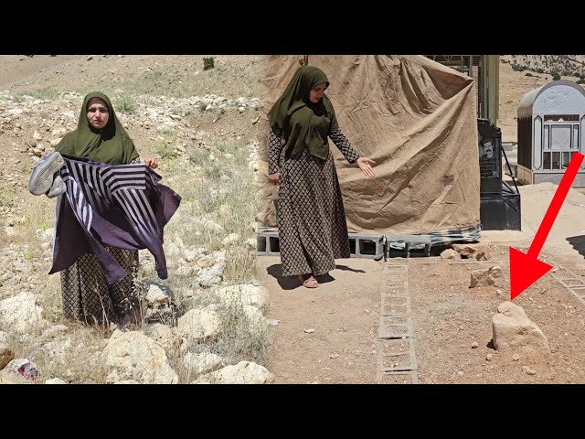 DAL14 ORGINAL