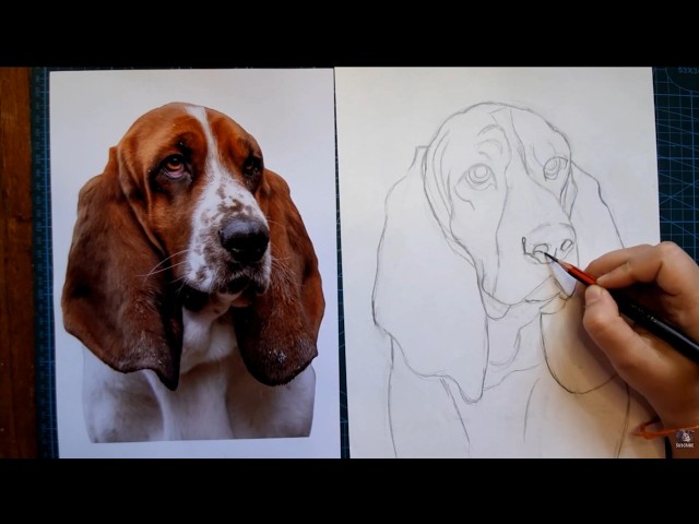 Sofia Rottoli Arte