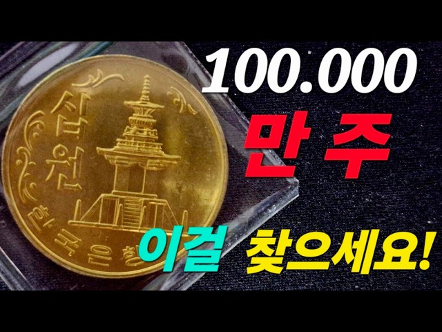 주화 그레이딩 전문 채널