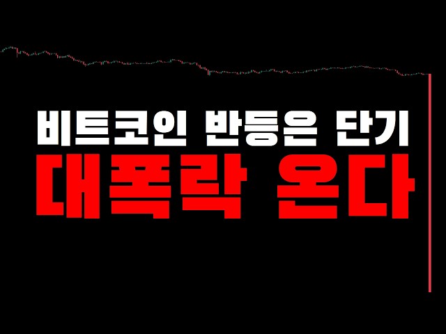 머니빨로 - 비트코인 스윙 타점 No.1 MoneyFollow