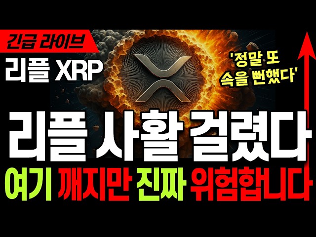 리플코인전망