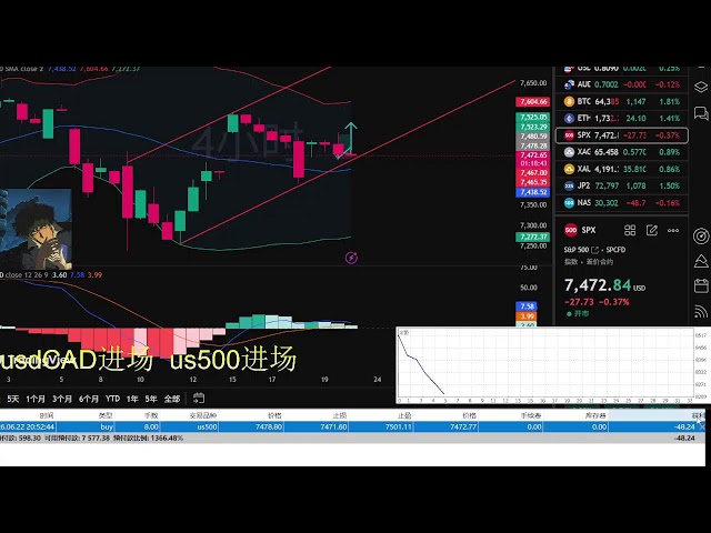 青梧的交易宇宙