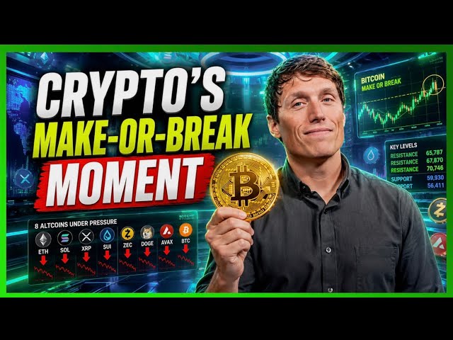 Verified Pro Traders