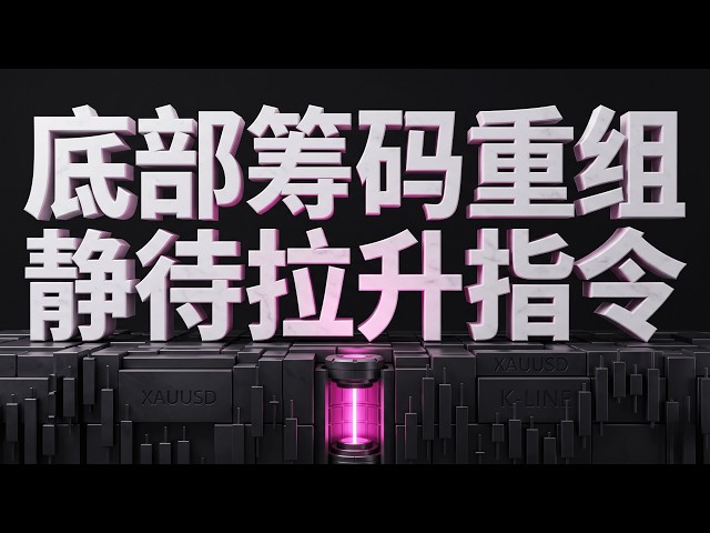 数汇交易