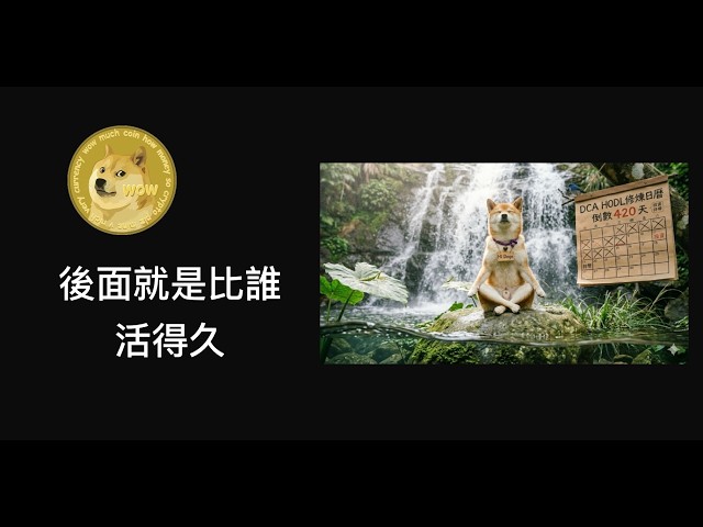 嗨Doge狗狗幣觀察日記