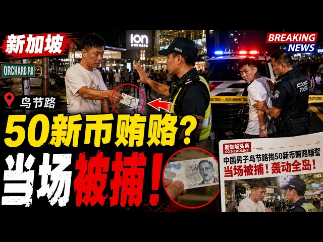 網友講什麼