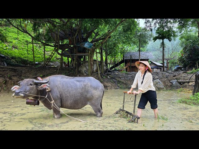 Hồng Thắm life