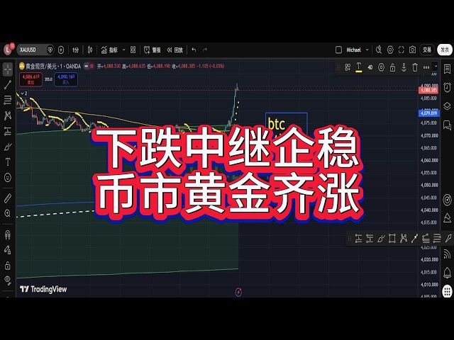 Michael财经