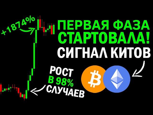 Акула рынка