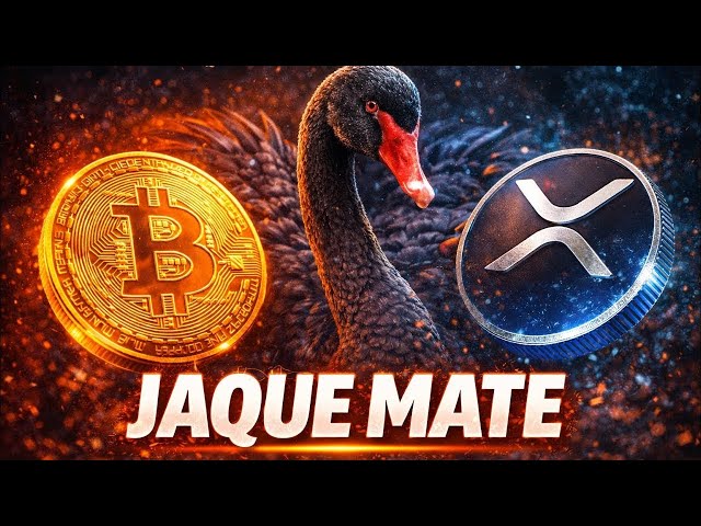 XRP AL DIA