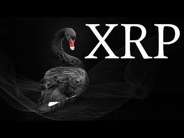 XRP AL DIA