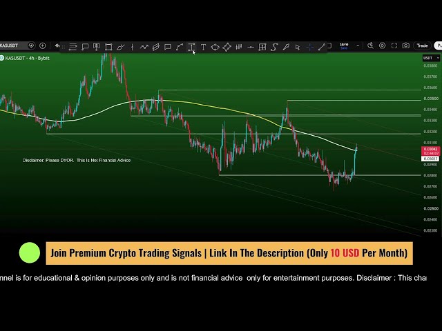 Live Day Trader ( Crypto Scalping Channel )