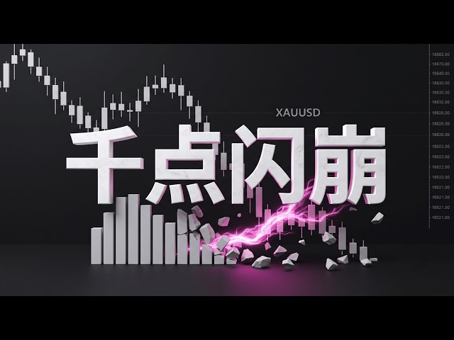 数汇交易