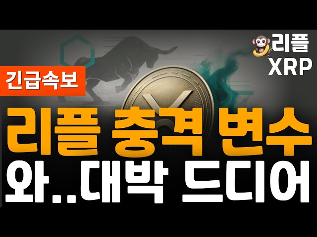 오늘의 코인뉴스