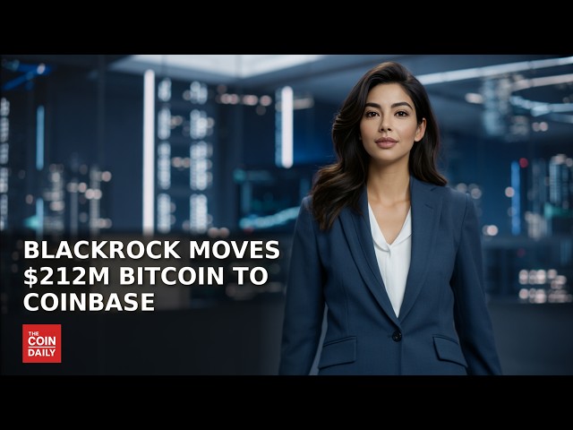 The Coin Daily