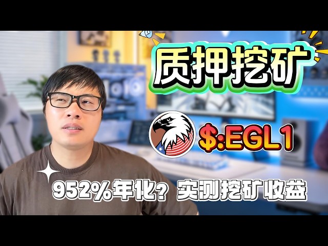 insight财经
