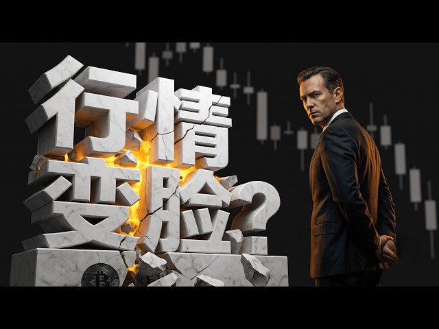 罗尼交易指南