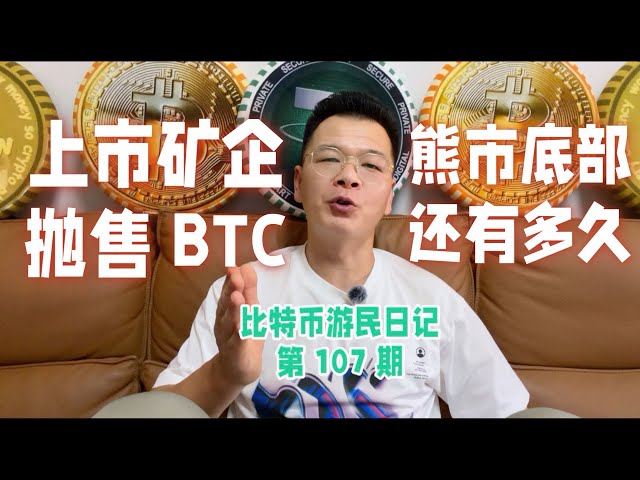 比特币游民日记