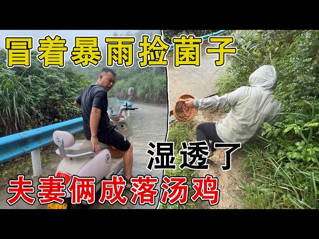 叉叉好安逸