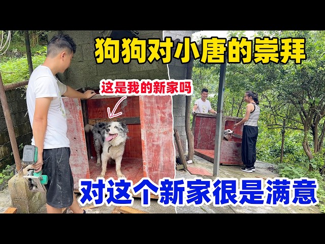 李慧琳的唐 Hui lin Li