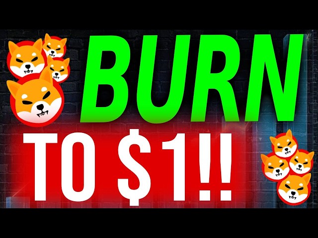 SHIBA INU CRYPTO