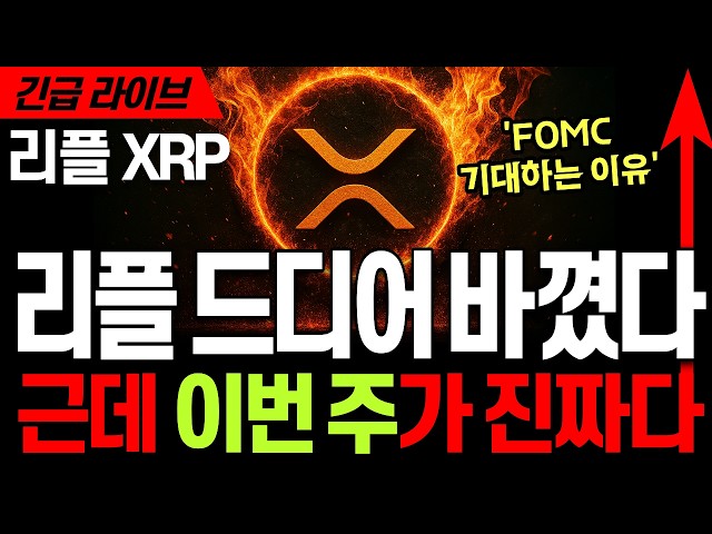 리플코인전망