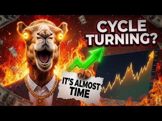 Camel Finance