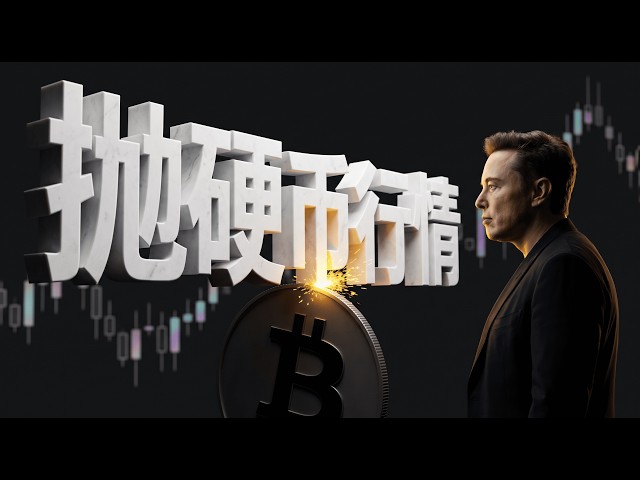 罗尼交易指南