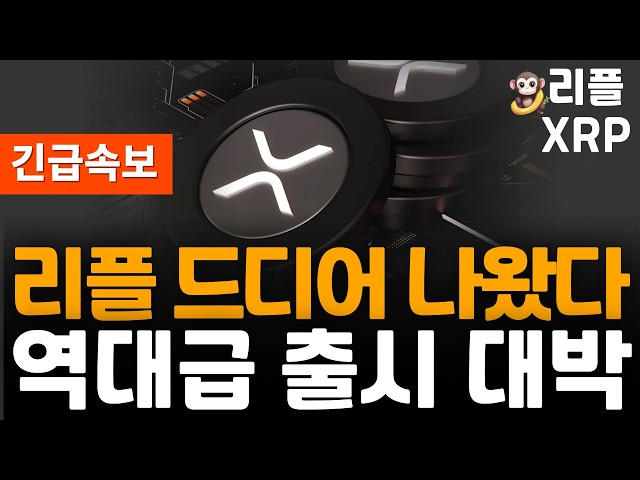 오늘의 코인뉴스