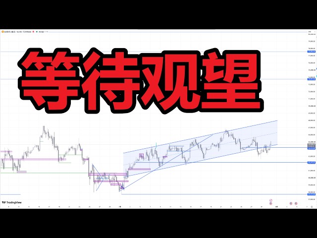 金博 TraderKingbo