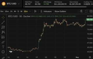 Der Bitcoin Adoption Index unterstreicht den Anstieg des Besitzes von Kryptowährungen in instabilen Volkswirtschaften