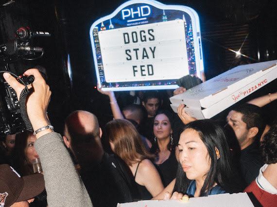 Die Doginal Dogs Community erobert NYC im Jahr 2026 mit einem filmähnlichen Erlebnis