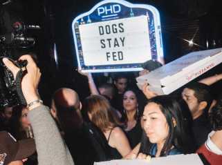 Die Doginal Dogs Community erobert NYC im Jahr 2026 mit einem filmähnlichen Erlebnis