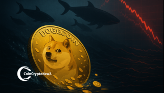 Dogecoin-Preis steigt aufgrund der Walakkumulation: DOGE erwartet Erholung inmitten der Markterholung