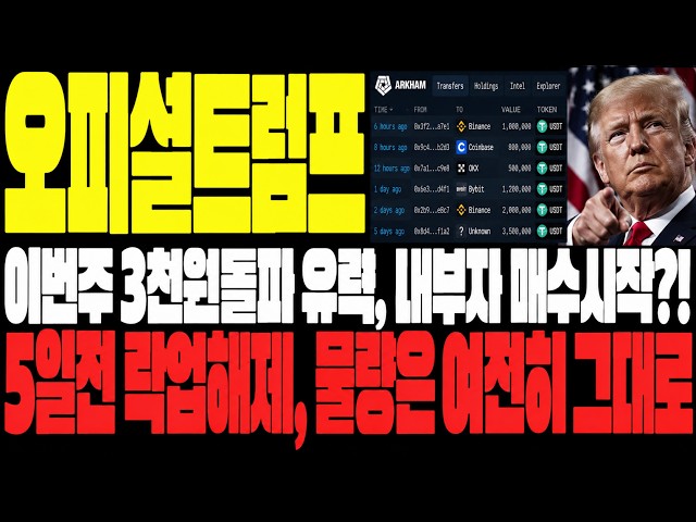머니코인