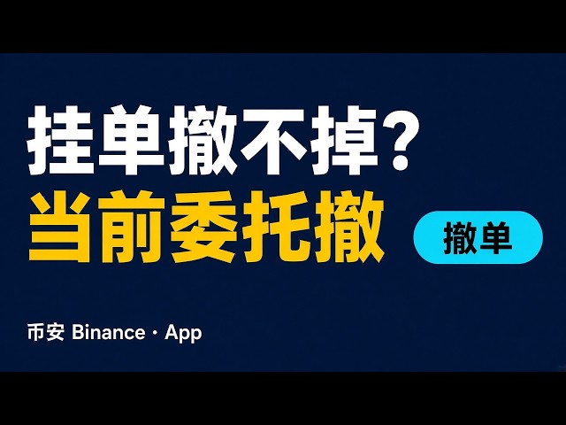 binance KOL