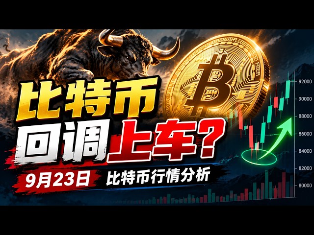 小鱼交易员