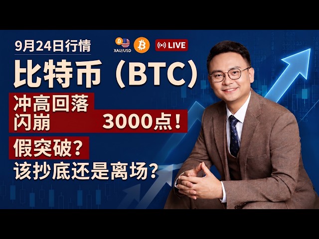 罗尼交易指南