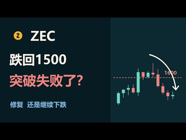 每日币见