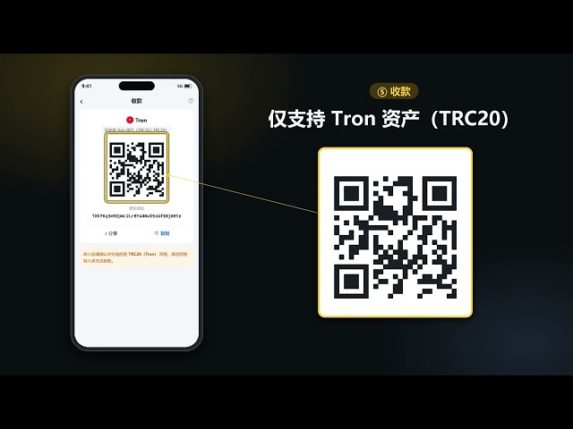 中本笨- web3小白教程