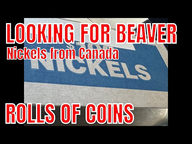 Las Vegas COIN HUNTER