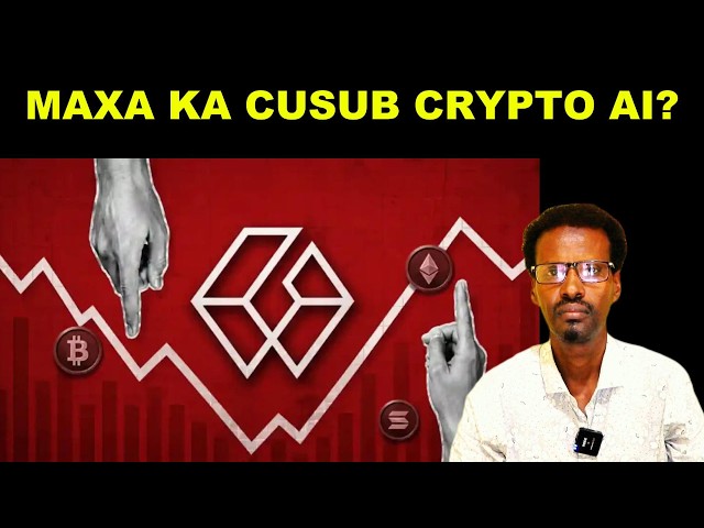 ABDIRASAK(AFRAX) ACADEMY---FINANCIAL ANALYST....