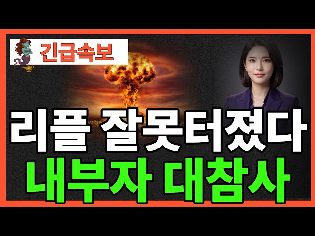 오늘의 코인뉴스