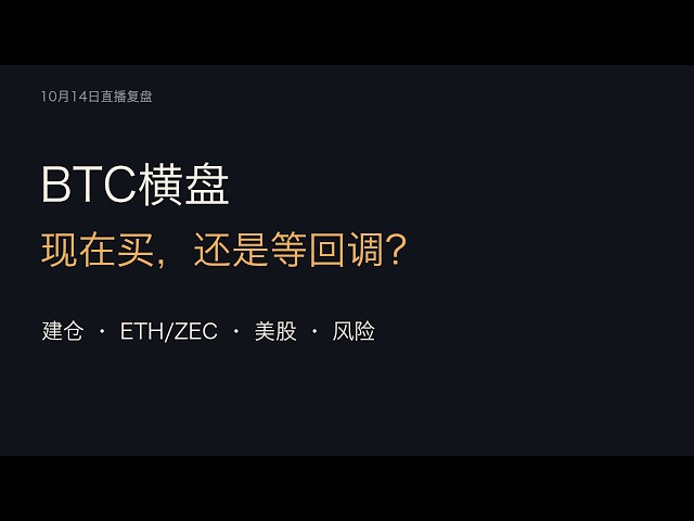 懂币猫