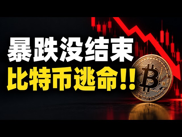 币粉研究院