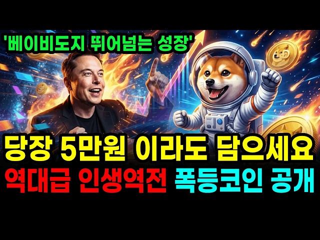 불덕스트릿 비트코인